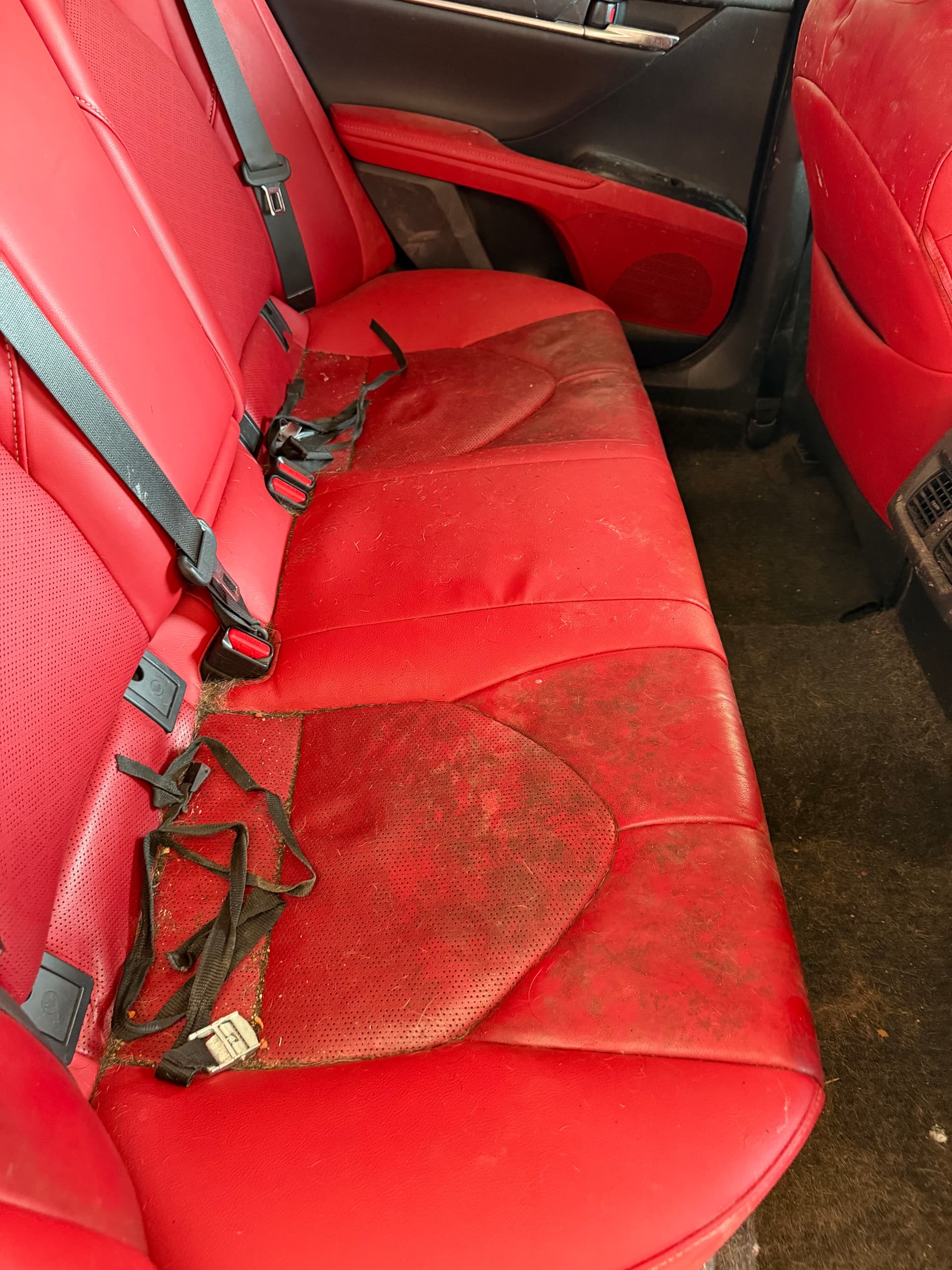 Toyota Camry Full Interior Detail in Goodyear AZ