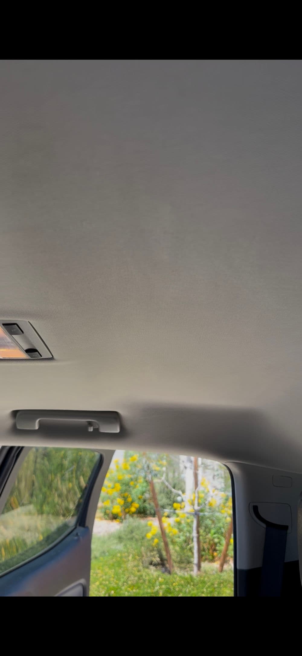 Interior view of a car ceiling with overhead light and a background of yellow flowers.