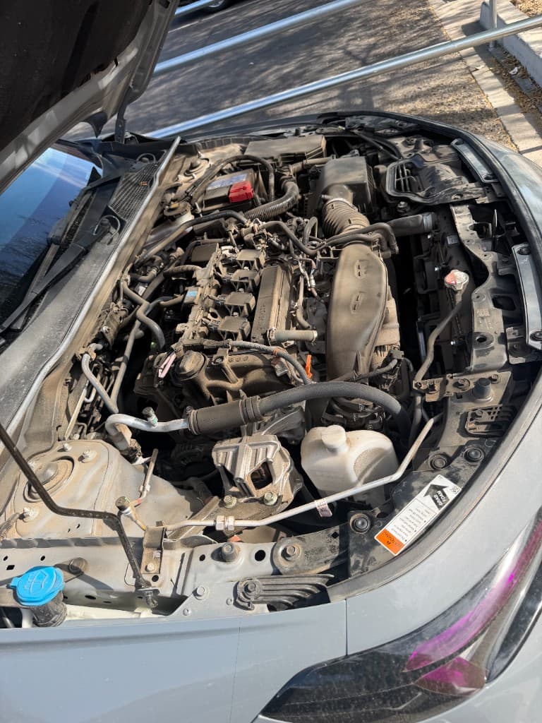 Engine bay before degreasing and detail