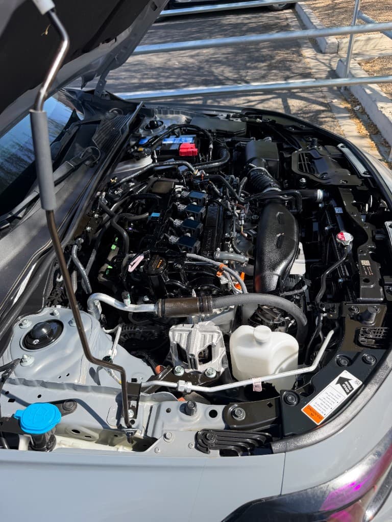 Clean detailed engine bay after service