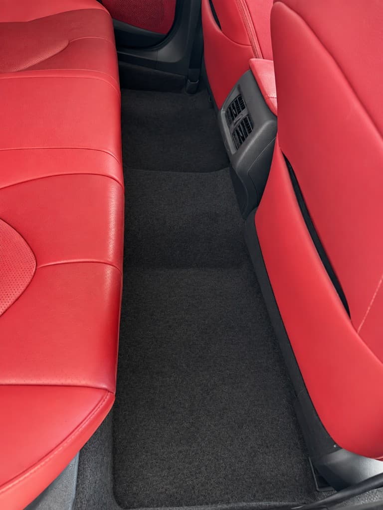Clean red leather rear seats and carpet after pet hair removal