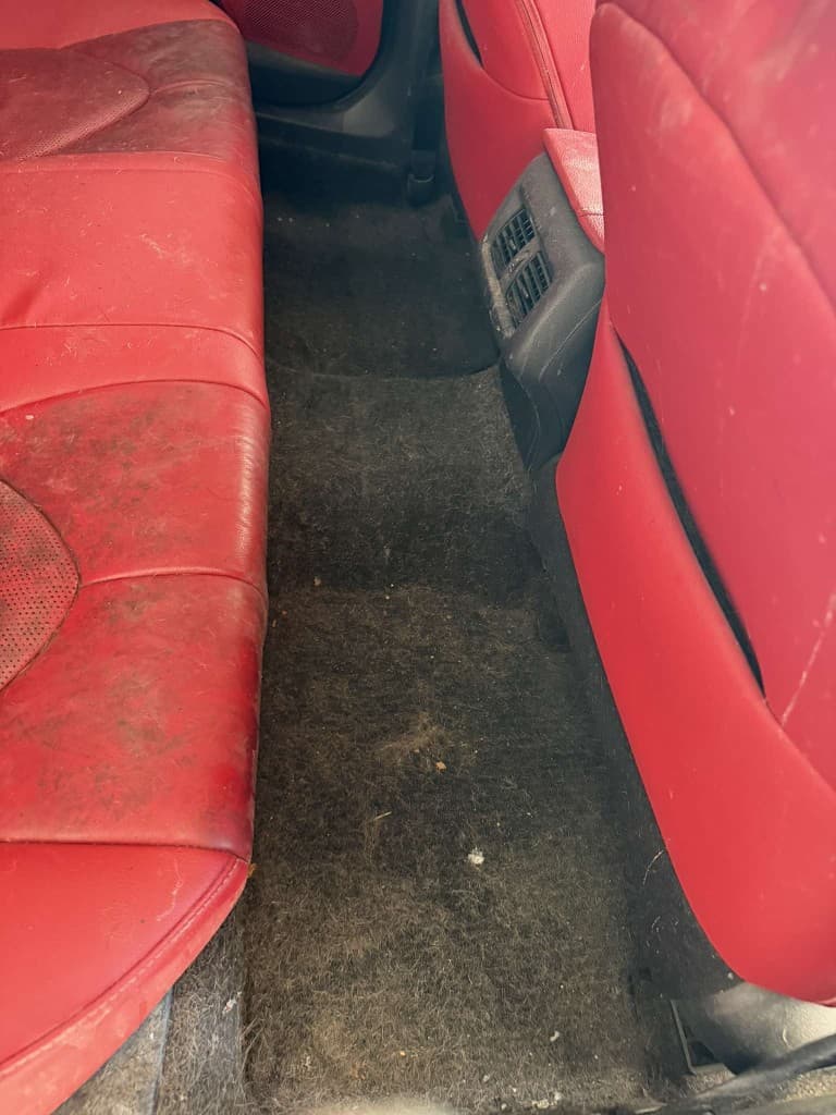 Red leather rear seats and carpet with pet hair before interior detail