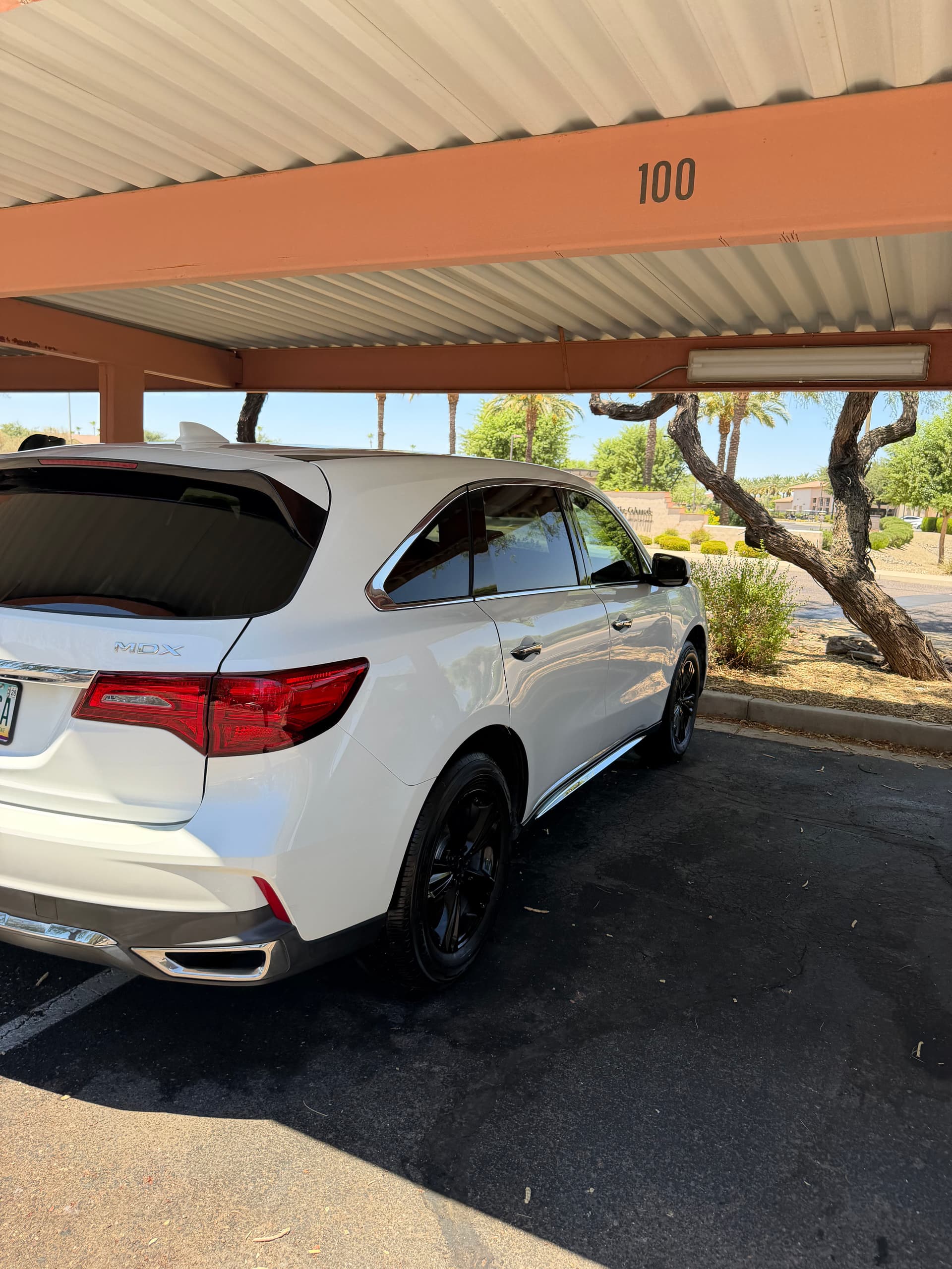 Gallery photos for Acura MDX Full Detail Done Right in Arizona Heat: Image #9