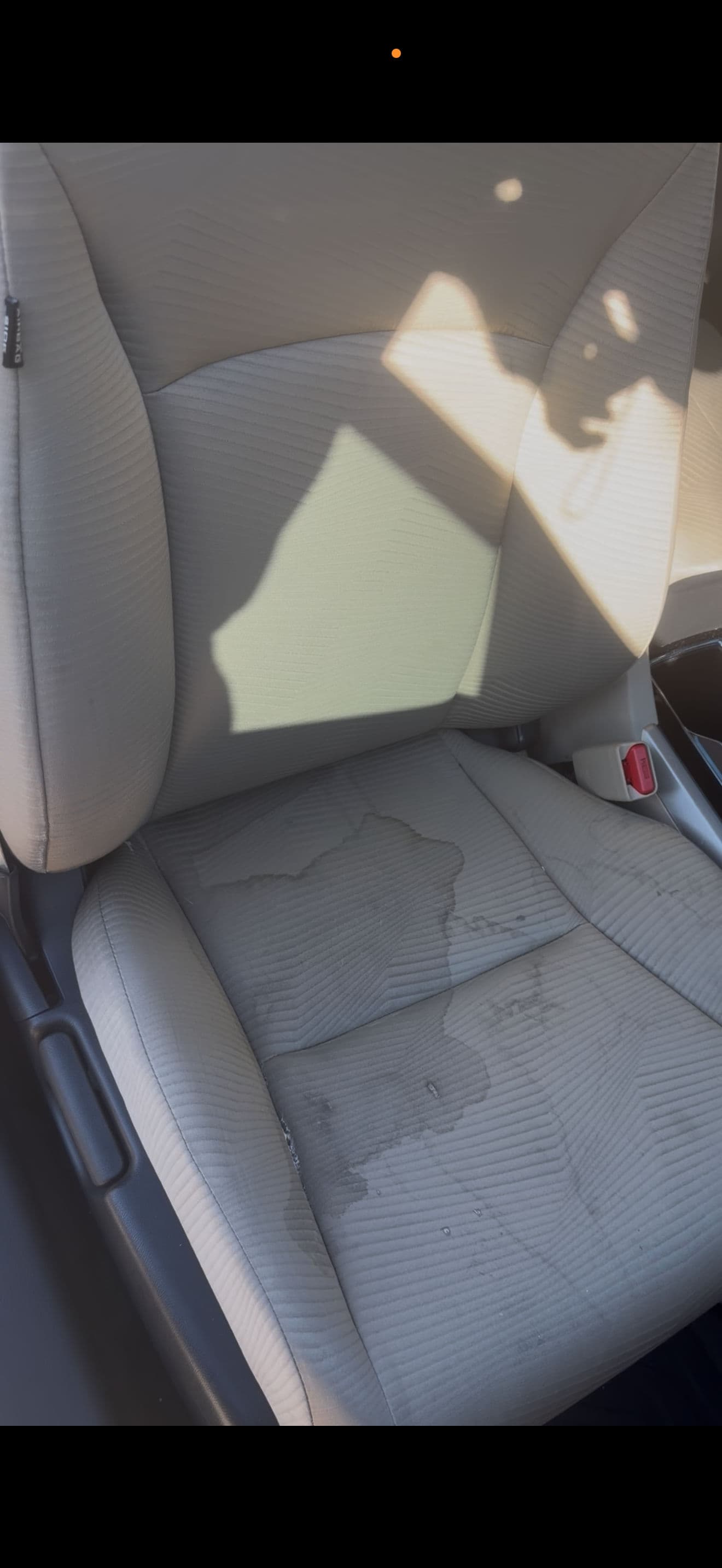 Gallery photos for Full Interior Detail on a Honda Accord in Buckeye: Image #1