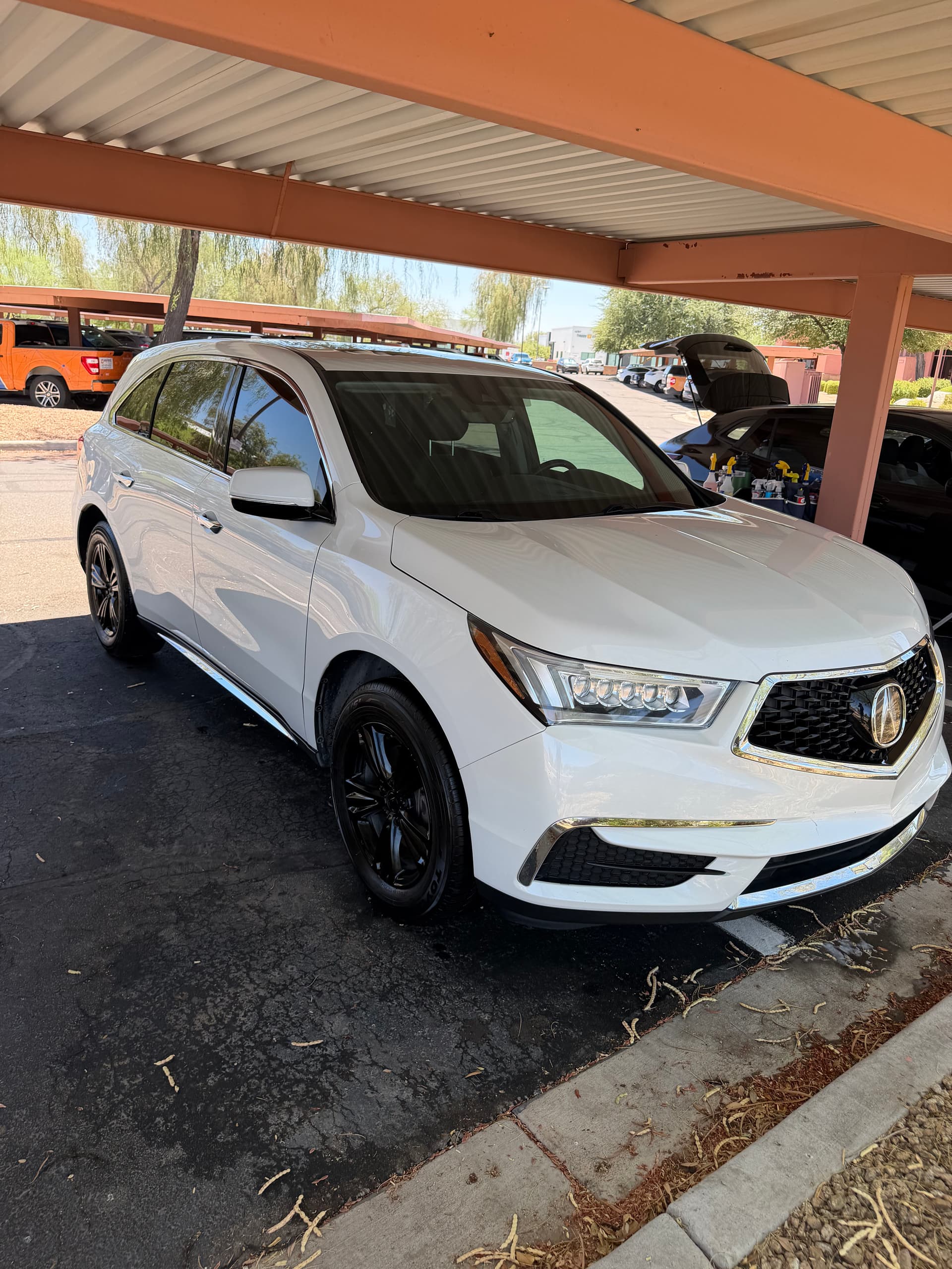 Gallery photos for Acura MDX Full Detail Done Right in Arizona Heat: Image #8