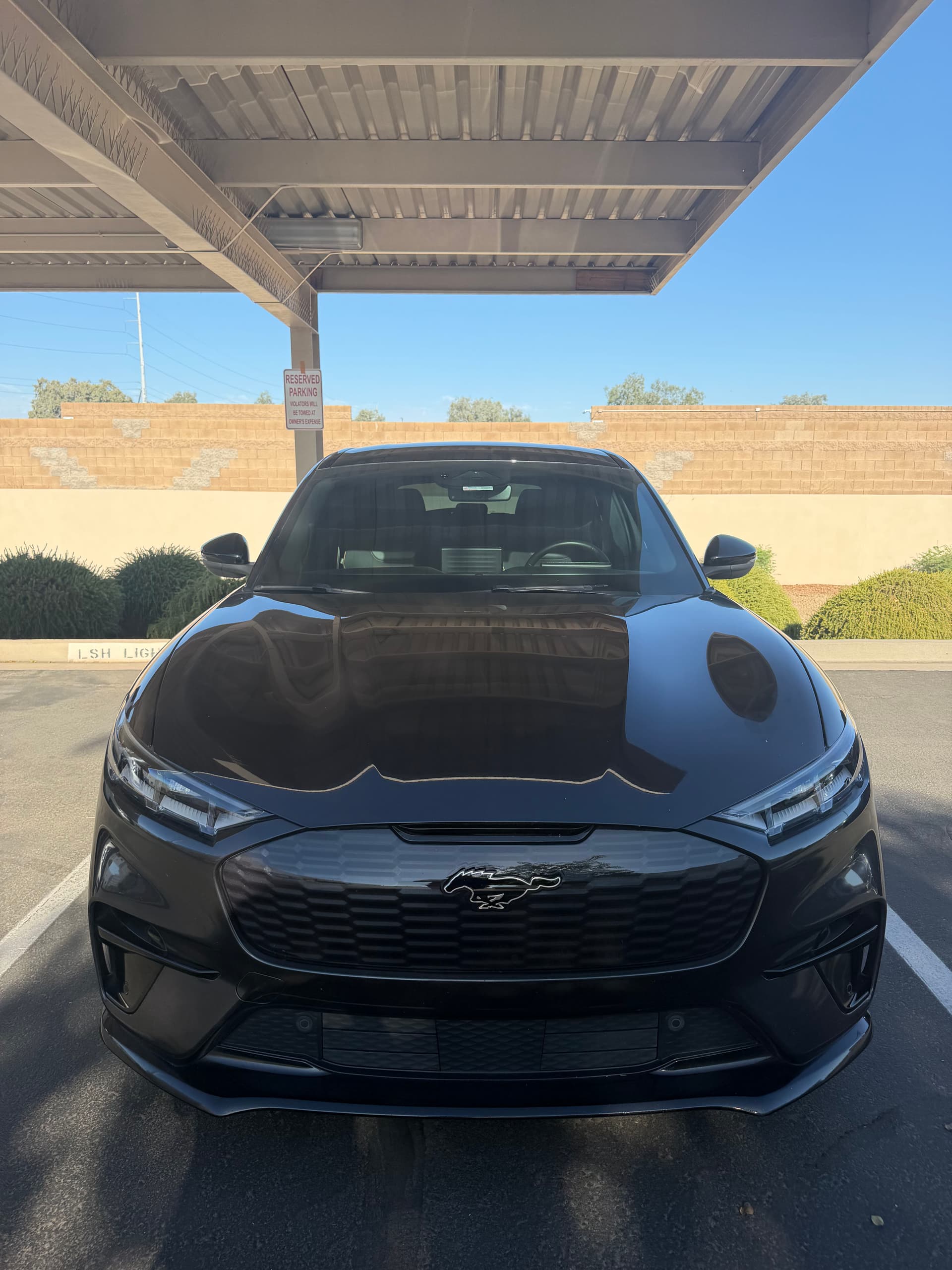 Ford Mustang Mach-E Gets Full Interior and Exterior Detail in Goodyear AZ image
